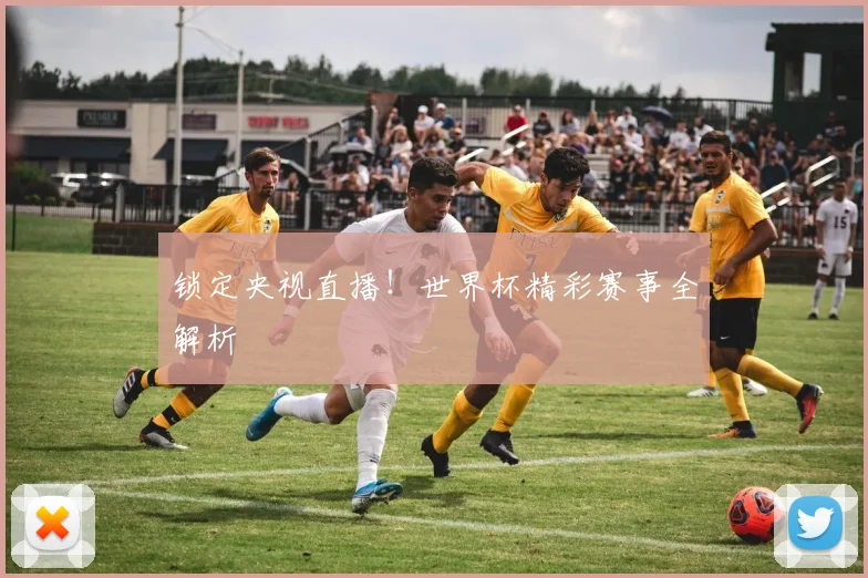 锁定央视直播!世界杯精彩赛事全解析