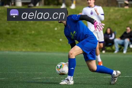 ayx官方网页平台生态图